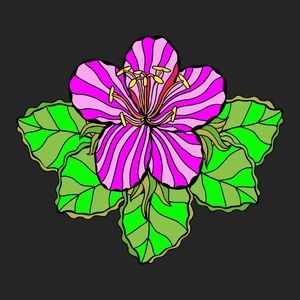 Meet your Posher, Ivettw